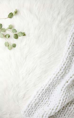 blanket green leaves on white textile rug