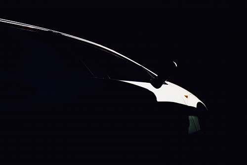 black-and-white light reflecting on vehicle side animal