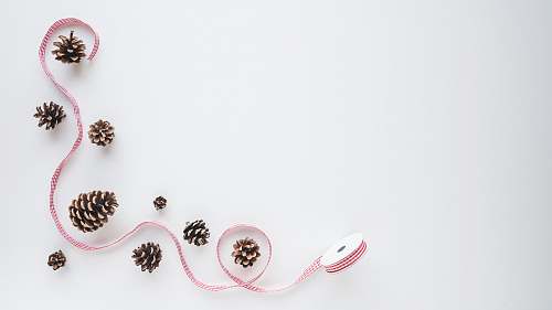 jewelry pinecone lot accessory