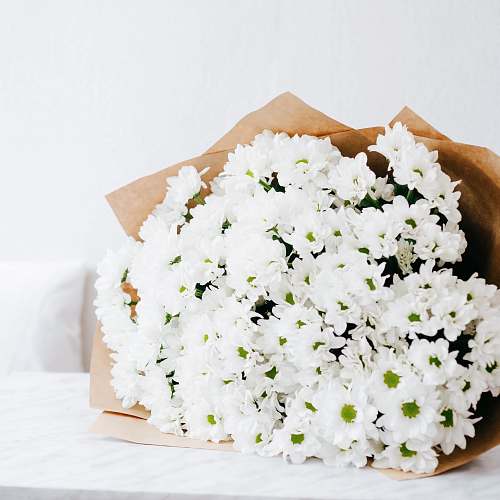 flower selective focus photography of bouquet of white flowers floral