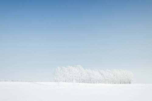 blue snow-coated field under clear blue sky during daytime winter