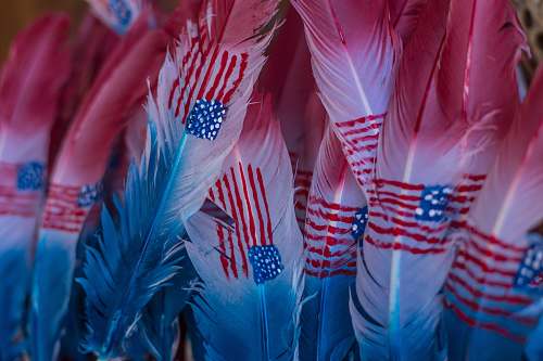 blue U.S.A. flag on feathers feather