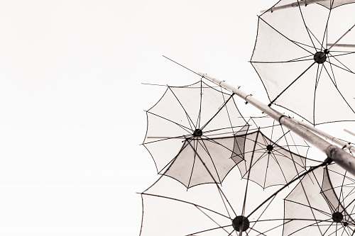 umbrella umbrellas outline under white sky at daytime canopy