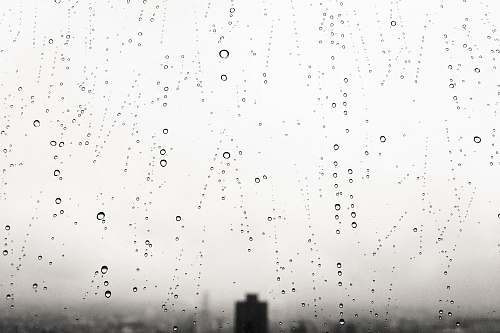 rainy water drops water drop