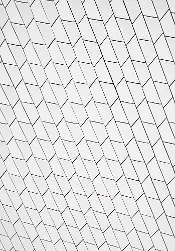 black-and-white white and black lines illustration pattern