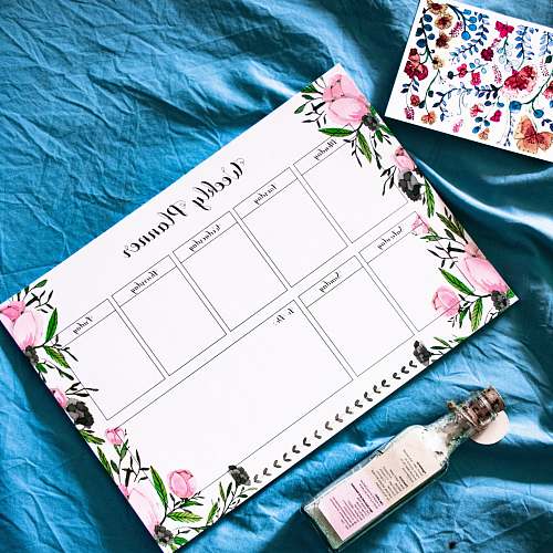 text white and pink floral card art