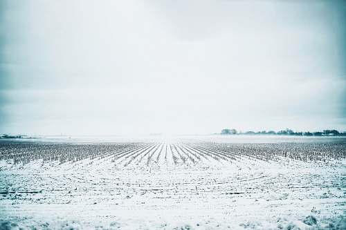 nature white field during daytime outdoors