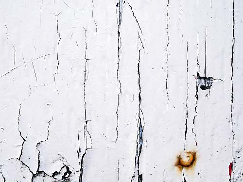 wall white wall art