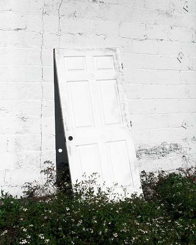 wall white wooden door hanged on white wall plants