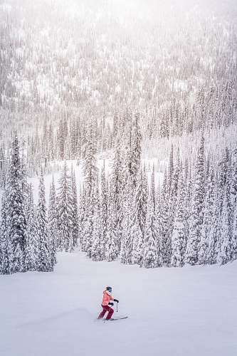 snow person on snow near tall pine trees at daytime outdoors