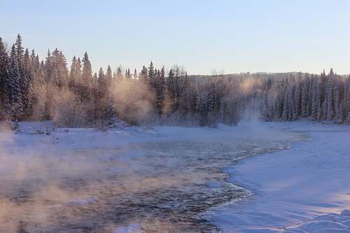 chilly snow covered lake and pine trees photo frozen
