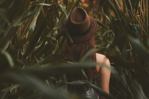 hat  foliage