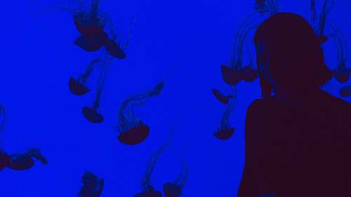  silhouette of woman 