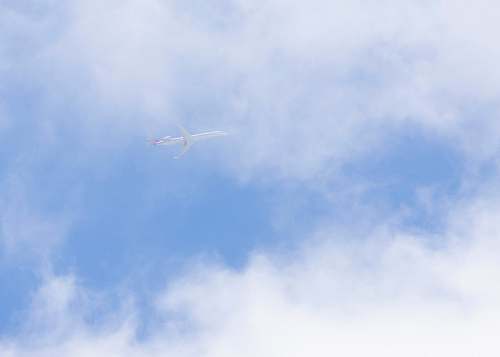 bird low-angle photo of white plane flying