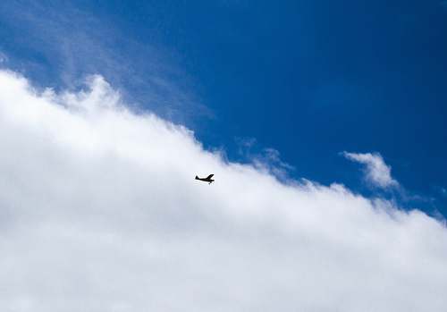 bird plane flying under white clouds and blue sky during daytime flying