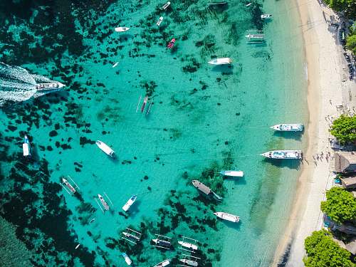 water aerial view of shore nature