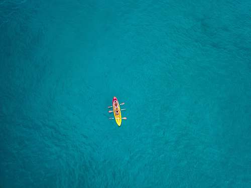 bird aerial view photography of boat on water flying