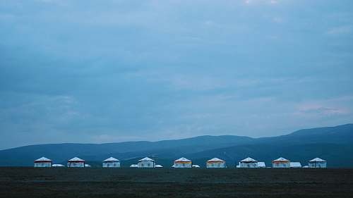 nature aligned houses on field outdoors