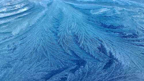 ice black fishes outdoors