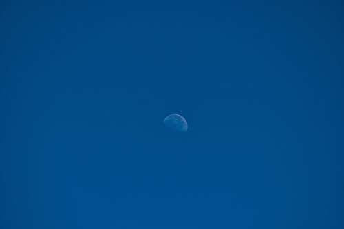 nature blue moon illustration outdoors