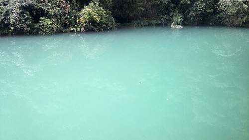 water body of water beside green leafed plant lake