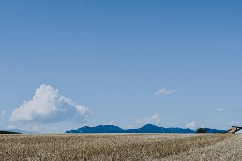 nature brown field under blue sky during daytime outdoors