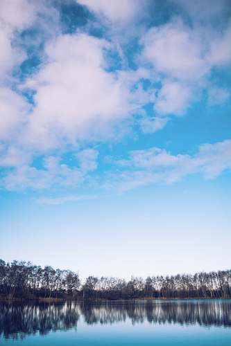 nature calm body of water by treeline under blue skies outdoors