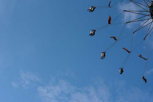 animal carnival ride bird