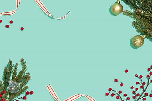 plant Christmas decor tree