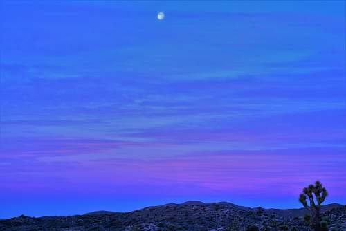 outdoors clear blue sky nature