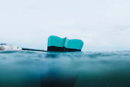 water close-up photography of calm water flipper