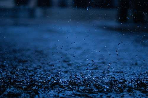 Rain Drops Images Pictures And Free Stock Photos