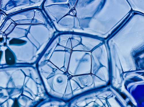 water closeup photography of water bubbles sphere