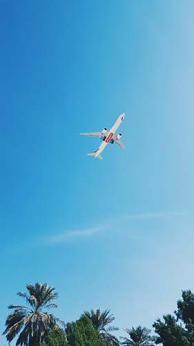 airplane flying white airliner plane at sky aircraft