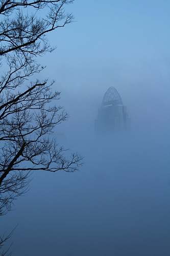 nature foggy bare trees weather
