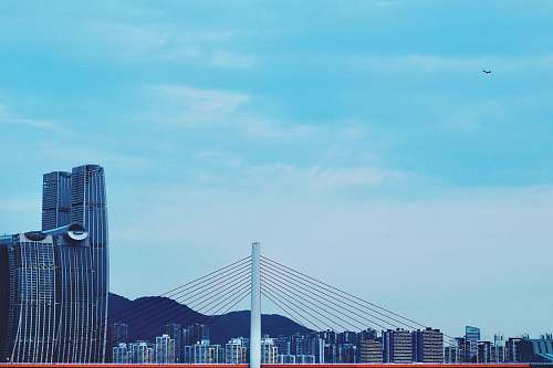 building gray bridge under blue sky animal
