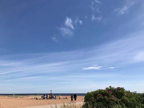 nature group of people playing at beach under clear blue sky зеленогорск (санкт-петербург)