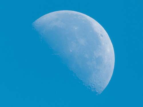 harderwijk half moon netherlands