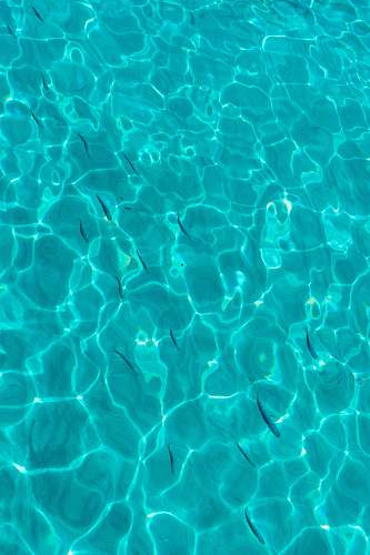 outdoors high angle photo of body of water water
