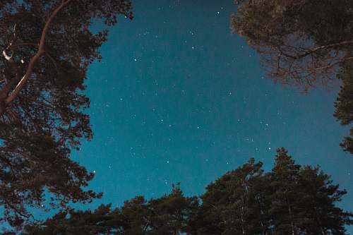 teal low angle photography of stars sweden