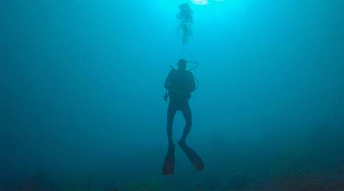 diving man scuba diving in water water
