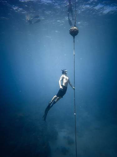 human man wearing snorkeling gear swimming underwater person