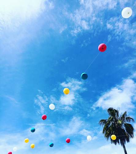venice multicolored balloon string hanged near tree los angeles
