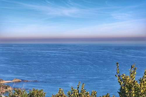 nature ocean blue and green tress ocean