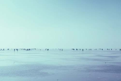 winter people walking in seashore over the horizon during daytime snow