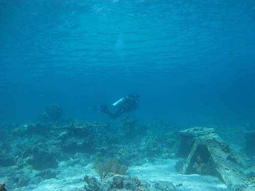 ocean person scuba diving in the ocean sea