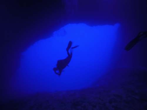 water person swimming underwater outdoors