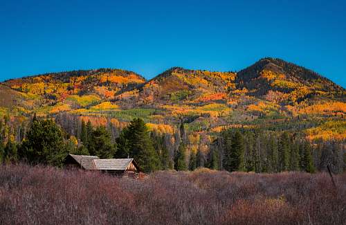 house photo of brown wooden house beside mountain field