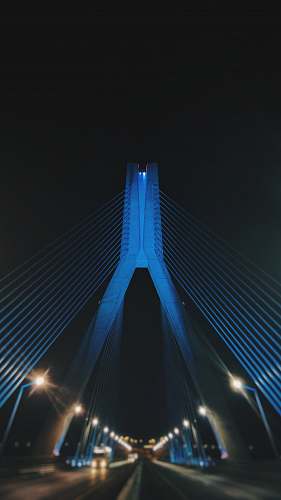 bridge shallow focus photo of bridge night