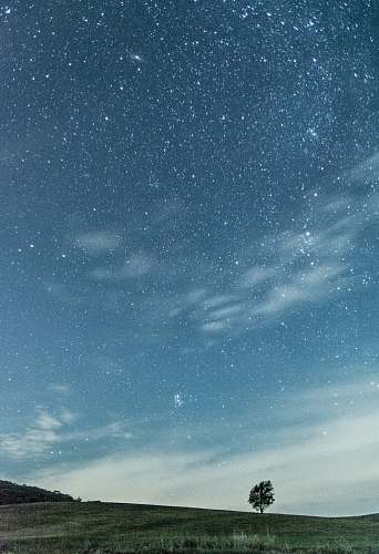 nature stars at night over trees and mountain outdoors